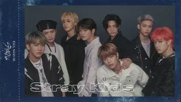 StrayKids TOP 모음 트레이딩 카드 세로