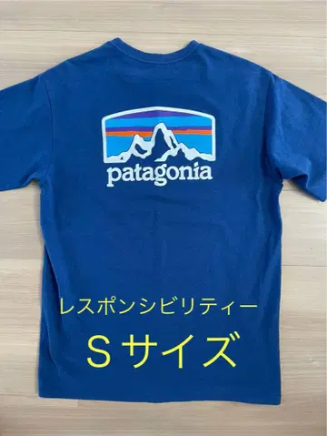 Patagonia 파타고니아 responsibili-tee 티셔츠