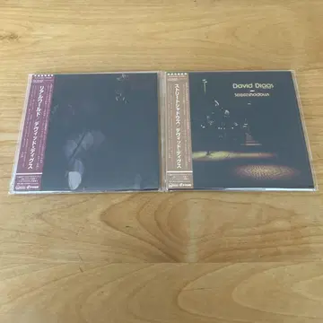 미사용품 AOR CCM 데이비드 디그스 종이 자켓 CD 2장 세트