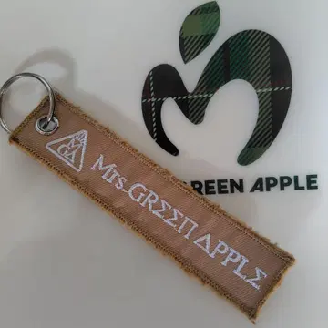 Mrs. GREEN APPLE 키링