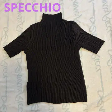 스페치오 SPECCHIO 플리츠 반팔 티셔츠 하이넥 블랙