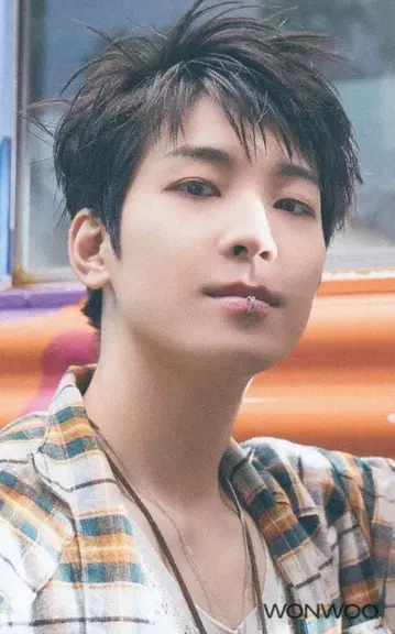 세븐틴 HMV 원우 세븐틴스 헤븐