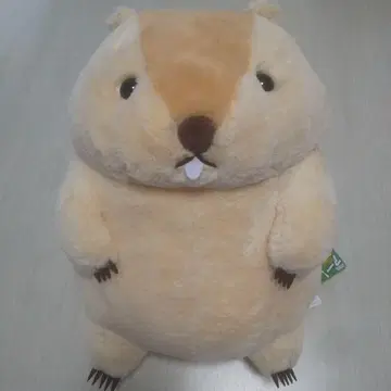 마모트의 모토토 울트라 BIG 봉제 인형 모토토
