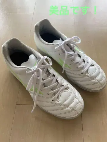 Mizuno 모렐리아 네오 2 화이트/그린