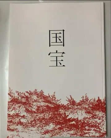 영화 국보 팜플렛 새상품 미독 요시자와 료 요코하마 유성