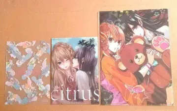 citrus 시트러스 클리어 파일 3장 세트 사브로타
