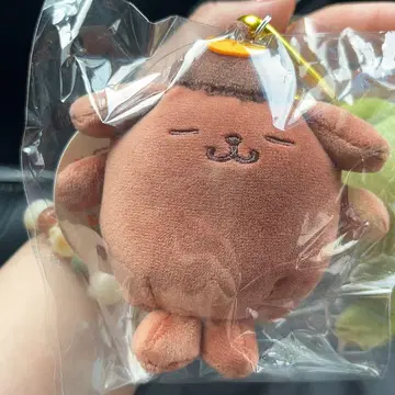 폼폼푸딩 해피 플레이버 부드러운 코코아 새상품