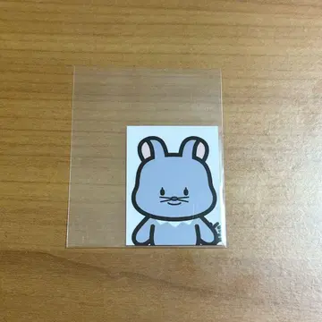 VANNER 송국 틱 응모자 한정판 혜택 VANNEE 증명 사진