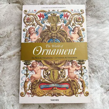 The World of Ornament 외국도서 taschen