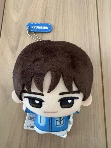 미사용 새상품 KYUNGMIN 봉제 인형 TWS 경민