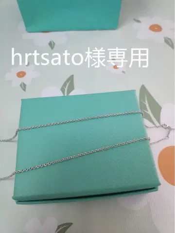 목걸이 은색 멋지다 (hrtsato)