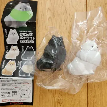 산책 포메라니안 라이트 블랙 검정 화이트 포메라니안