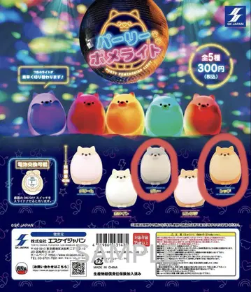 파리 포메 라이트 레드 그레이 세트