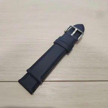 FOSSIL 손목시계 교체용 벨트 S221425 22mm