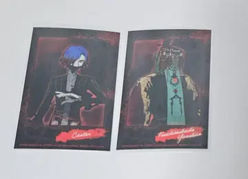 Fate Samurai Remnant 사무라이 렘나토 캐스터 도미노미토