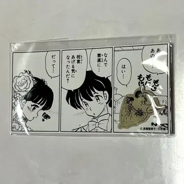 (최종 가격 인하) 란마 1/2 카페 한정판, 란마와 아카네의 핀즈