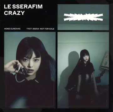 LE SSERAFIM EUNCHAE CRAZY 초상 스티커
