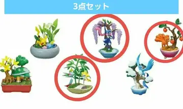 포켓몬스터 포켓 BONSAI 3 지라치 게코우가 로콘
