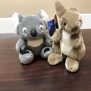 코알라와 캥거루 봉제 인형 세트