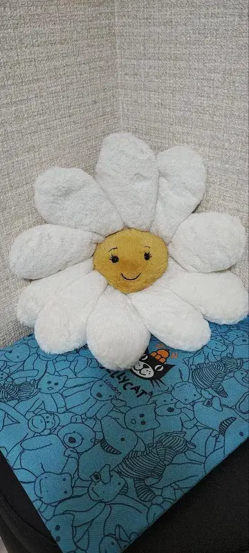 새상품 jallycat 꽃 봉제 인형 제리 캣