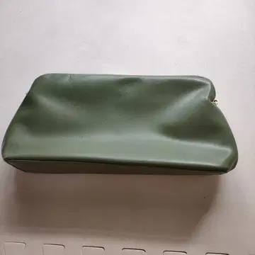 레가리스 그린 파우치