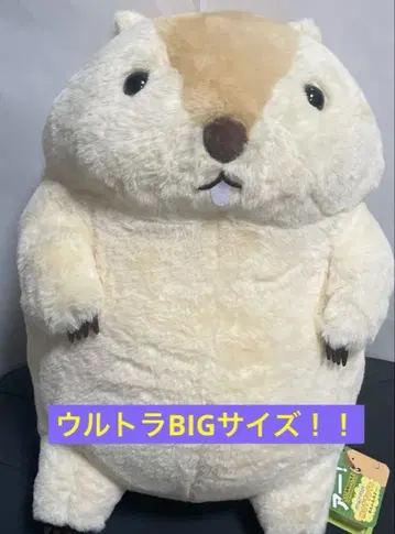 모토토 마모토의 모토토 울트라 BIG 봉제 인형