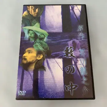 덤불 속 DVD