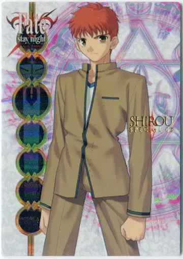 SILVERBLITZ FACTCARD FACTCARD SP 카드 5
