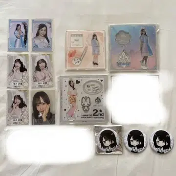 타카미네 나데시코 하즈키 사라 아크릴 스탠드 미니 사진 캔뱃지 묶음 판매