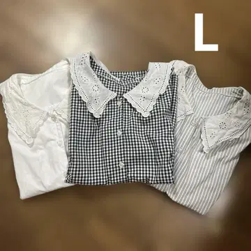 레이스 카라 반팔 블라우스 3개 세트