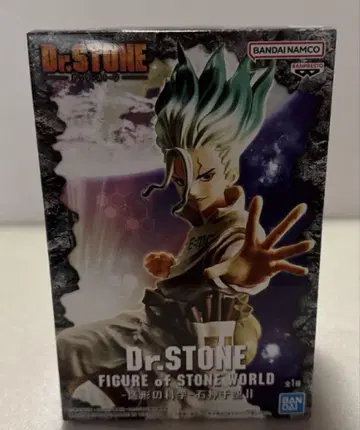 Dr.STONE FIGURE of STONE WORLD 이시가미 치쿠