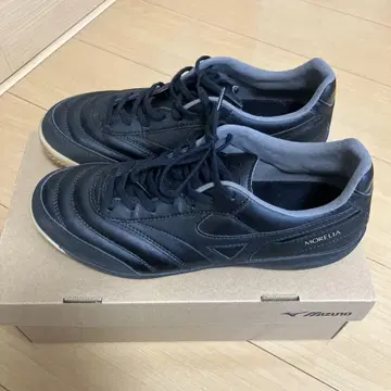 모레리아 SALA PRO IN