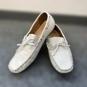 모델