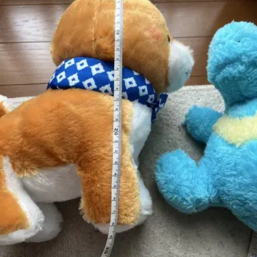 포켓몬과 시바견 봉제 인형 세트