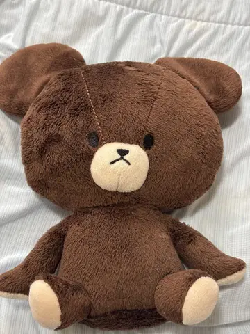 브라운 곰 봉제 인형 곰의 학교