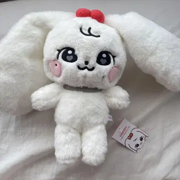 미니브 체리