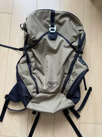 BUDDY 22L 백팩