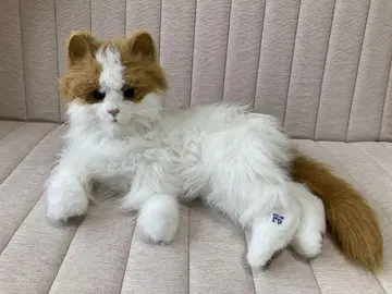 꿈의 고양이 비너스 고양이 완구 봉제 인형