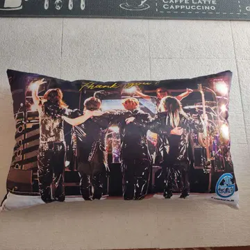 GLAY 쿠션