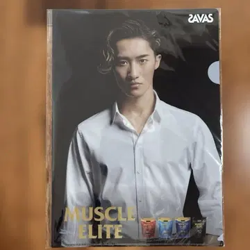 자바스 SAVAS 클리어 파일 이와모토 테루