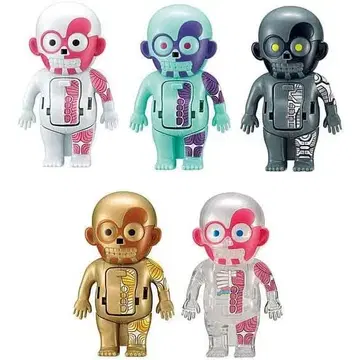 두근두근 인체 모형 mini 전 5종 풀 컴프 캡슐 토이