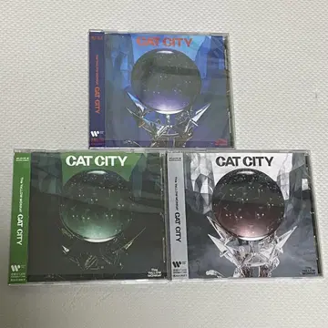 CAT CITY 노란 원숭이