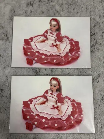 레어 리카짱 엽서 5장 세트 2세트