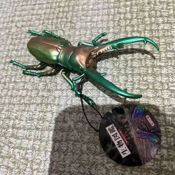 생물 도감 사슴벌레 메탈릭