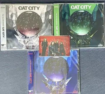 CAT CITY 3장 세트 엽서 포함