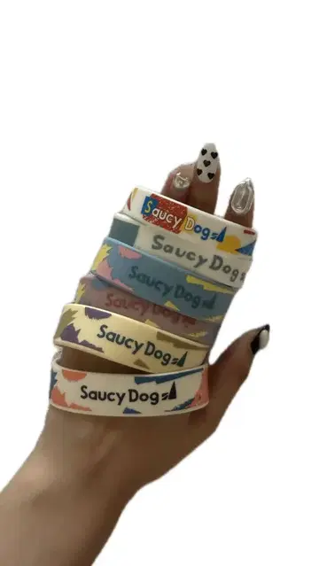 Saucy Dog 러버 밴드 5개 세트