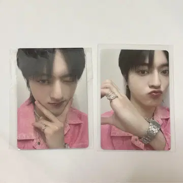 treasure 하르토 wonderland 트레이딩 카드