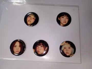 PIGGS 캔뱃지 5개 세트