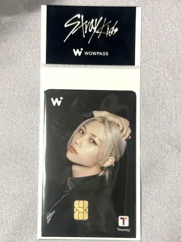 Stray Kids WOWPASS 필릭스