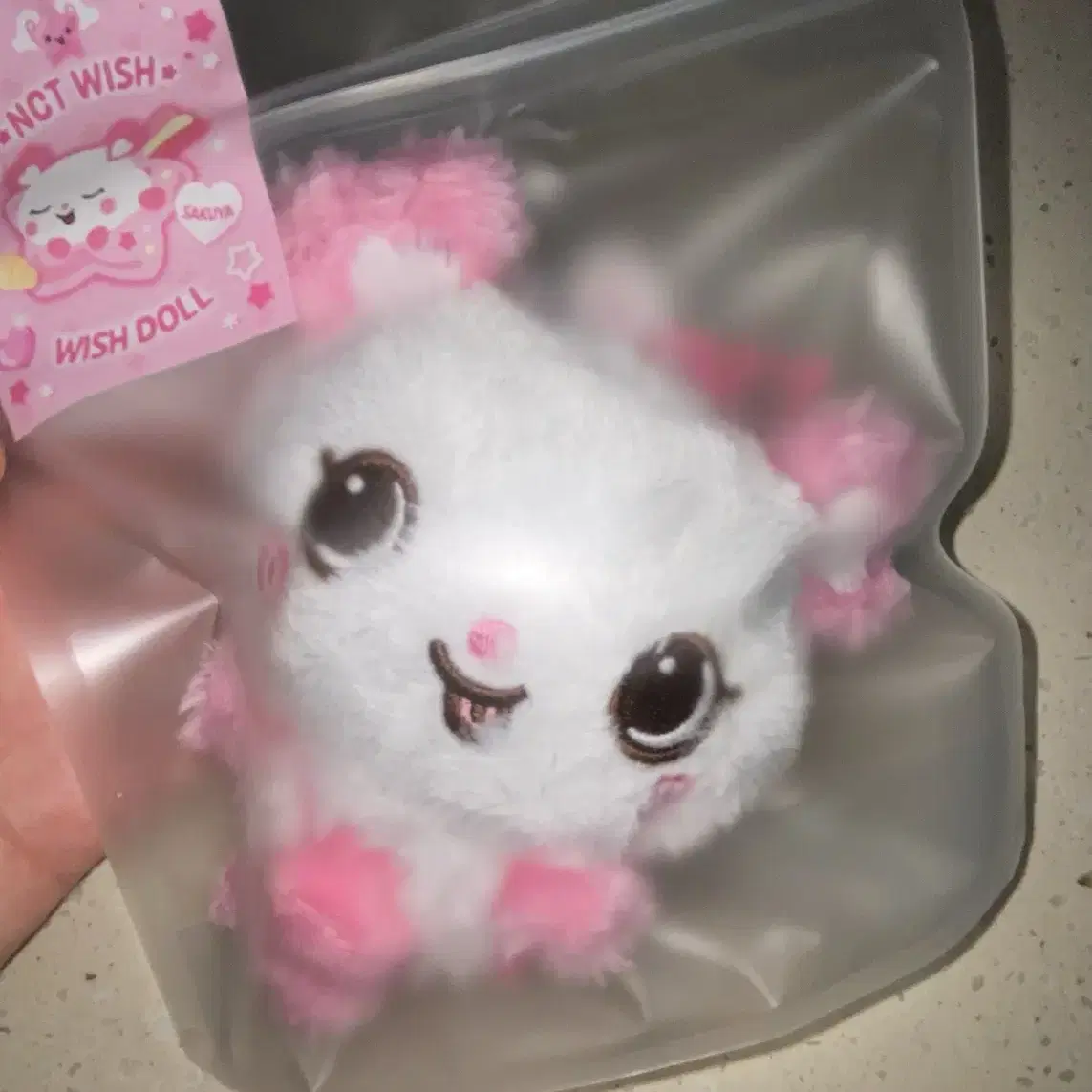 wish doll サクヤ SAKUYA 51brFDGTQHL._AC_SY200_QL15_.jpg